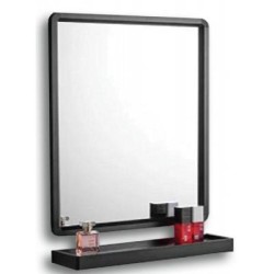NERINA MIRROR 48 * 63 WITH BLACK STAINLESS STEEL